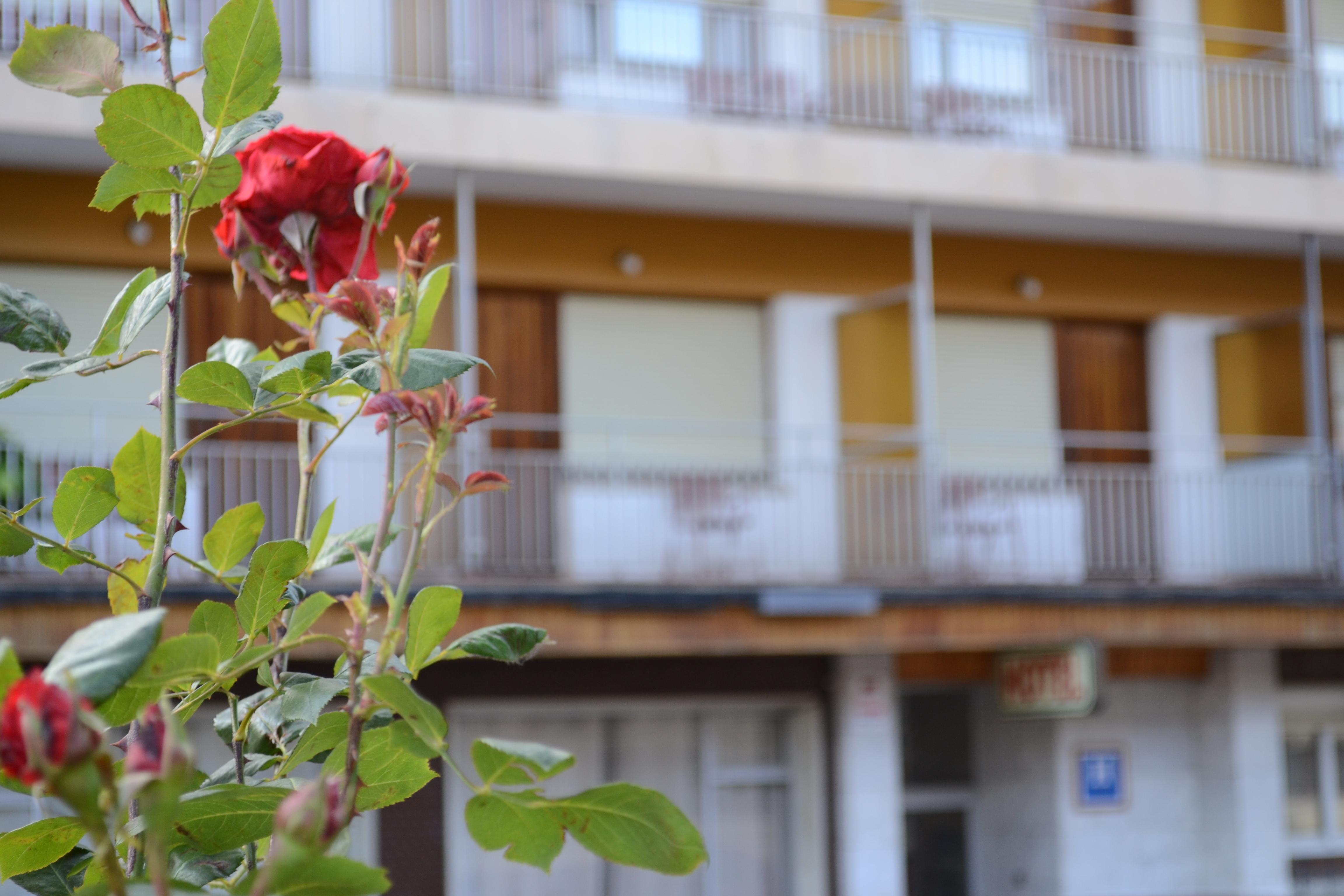 Hotel Mi Casa Sabiñánigo Екстериор снимка